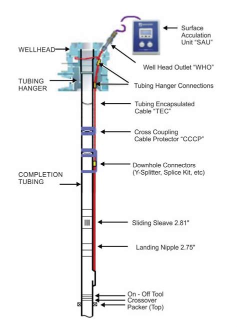 wellwatcher flux|An evaluation of methods for permanent downhole temperature .